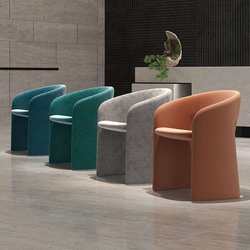 Internet celebrity Rochburg dining chair casual cafe theme restaurant tables and chairs special-shaped reception negotiation single creative chair