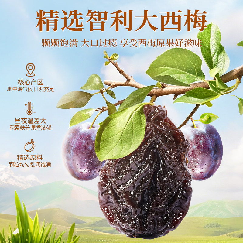 ラオジェコウ 新疆 プルーン 255g - 自然乾燥プラム、無添加