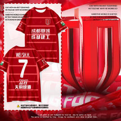 2025 Season Chengdu Rongcheng Team Uniform Football Shirt Same Style Quick-Drying Short-Sleeve T-Shirt for Men and Women with Ice Silk Feel Half-Sleeve