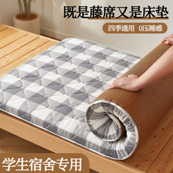 Winter and Summer Dual-Use Student Dormitory Single Ice Rattan Cooling Mat Mattress Soft Cushion Home Bedroom Double-Sided Mattress Thick Mattress