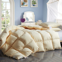 Ruyi Composite Feather Quilt Core, Single/Double, Thickened, Warm, Student Dormitory Winter Quilt, Five-Star Hotel Spring and Autumn Quilt