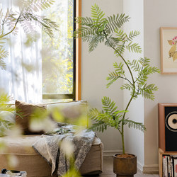 Jacaranda Artificial Green Plant Large Floor-Standing Potted Tree Light Luxury Indoor Living Room Decorative Flower Bionic Fake Plant Decoration