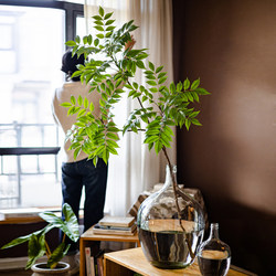 Artificial Green Plants with Dense Zen-Like Foliage, Lacquered Wood Leaves, Flower Arrangements, Living Room Fake Green Plant Branches, Decorative Artificial Flowers