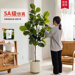 High-End Luxury Artificial Green Plant, Ficus Lyrata, Artificial Indoor Floor-Standing Fake Green Plant Potted Plant, Artificial Green Plant Decoration