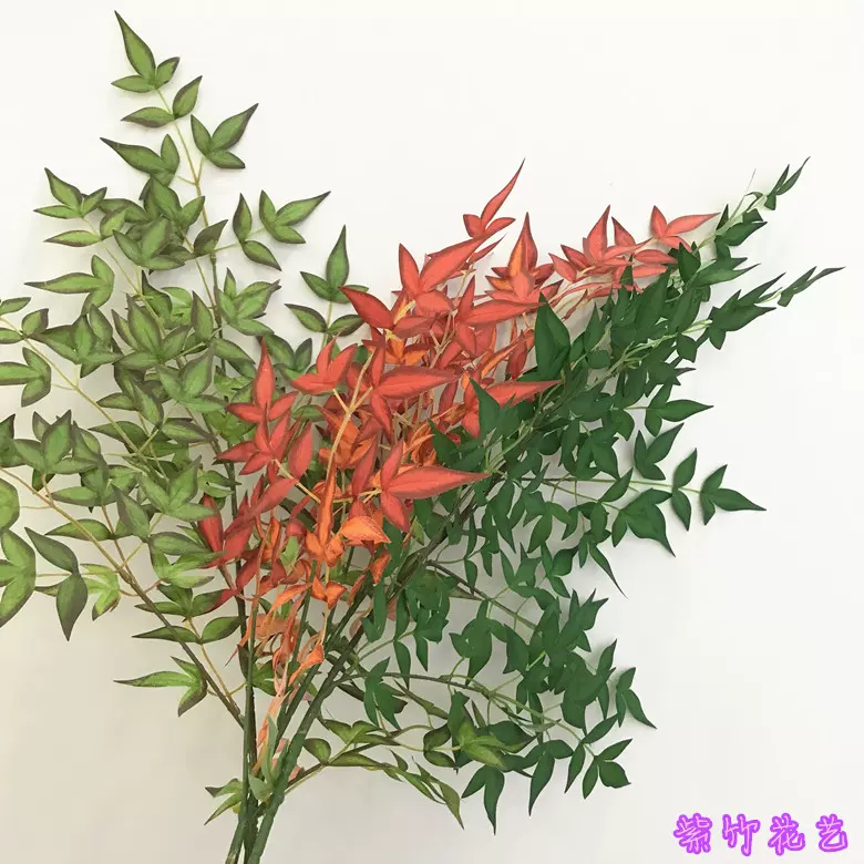 仿真南天竹大枝叶子室内绿植简约吊钟马醉木装饰树叶假花