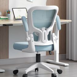 Study Chair, Comfortable for Long Periods of Sitting, Suitable for Children, Junior High School Students, Home Desk, Youth-Specific Ergonomic Computer Chair