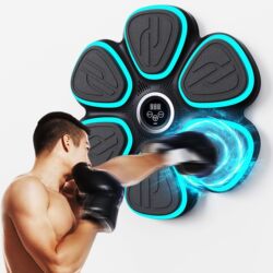 Xinjiang Free Shipping Boxing Target Wall-Mounted Sanda Training Equipment Sandbag Smart Target Wall-Mounted for Home Use for Adults and Children Martial Arts