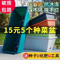 Special Box for Growing Vegetables on the Roof, Foam Box for Growing Vegetables, Vegetable Planting Box, Special Box for Growing Succulents, Strawberries, and Green Plants