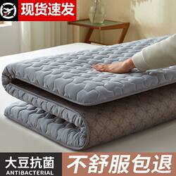 Household Mattress Pad, Single Student Dormitory Floor Mat, Rental Home Bed Pad, Thickened Tatami Mat