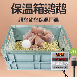 Parrot incubator constant temperature heating pad for brooding baby birds