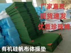 Gymnastics Mat, Wrestling and Acrobatics Mat, Dance Training Mat, Martial Arts Protection Mat, Taekwondo Mat, Sports Practice Mat, Folding Mat