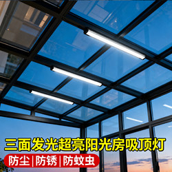 Super Bright Eye-Protecting Ceiling Light for Sunroom, Corridor, Balcony, Living Room, Rain Shelter, Mosquito-Proof Strip Light, Direct Sales Lighting Fixtures