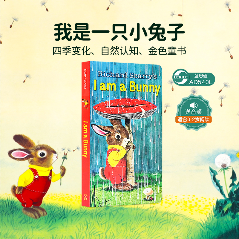 英語絵本12冊セット：I Am a Bunny, Dear Zoo など 英語絵本12冊セット：I Am a Bunny, Dear Zoo など Amazon | I