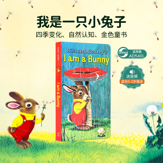 英語絵本12冊セット：I Am a Bunny, Dear Zoo など 英語絵本12冊セット：I Am a Bunny, Dear Zoo など 英語絵本12冊