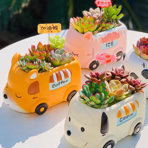 
Succulent flower pot creative cute cartoon small animal car shape puppy panda children kindergarten potted gift