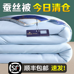 Export A+ Silk Quilt 100% Mulberry Silk Spring and Autumn Quilt Summer Cooling Quilt Air Conditioning Quilt Student Quilt Thickened Winter Quilt