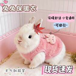 Clothes for Pet Rabbits, Outdoor Leash Harness, Warm Clothing for Dwarf Rabbits, Baby Rabbits, Guinea Pigs, and Chinchillas