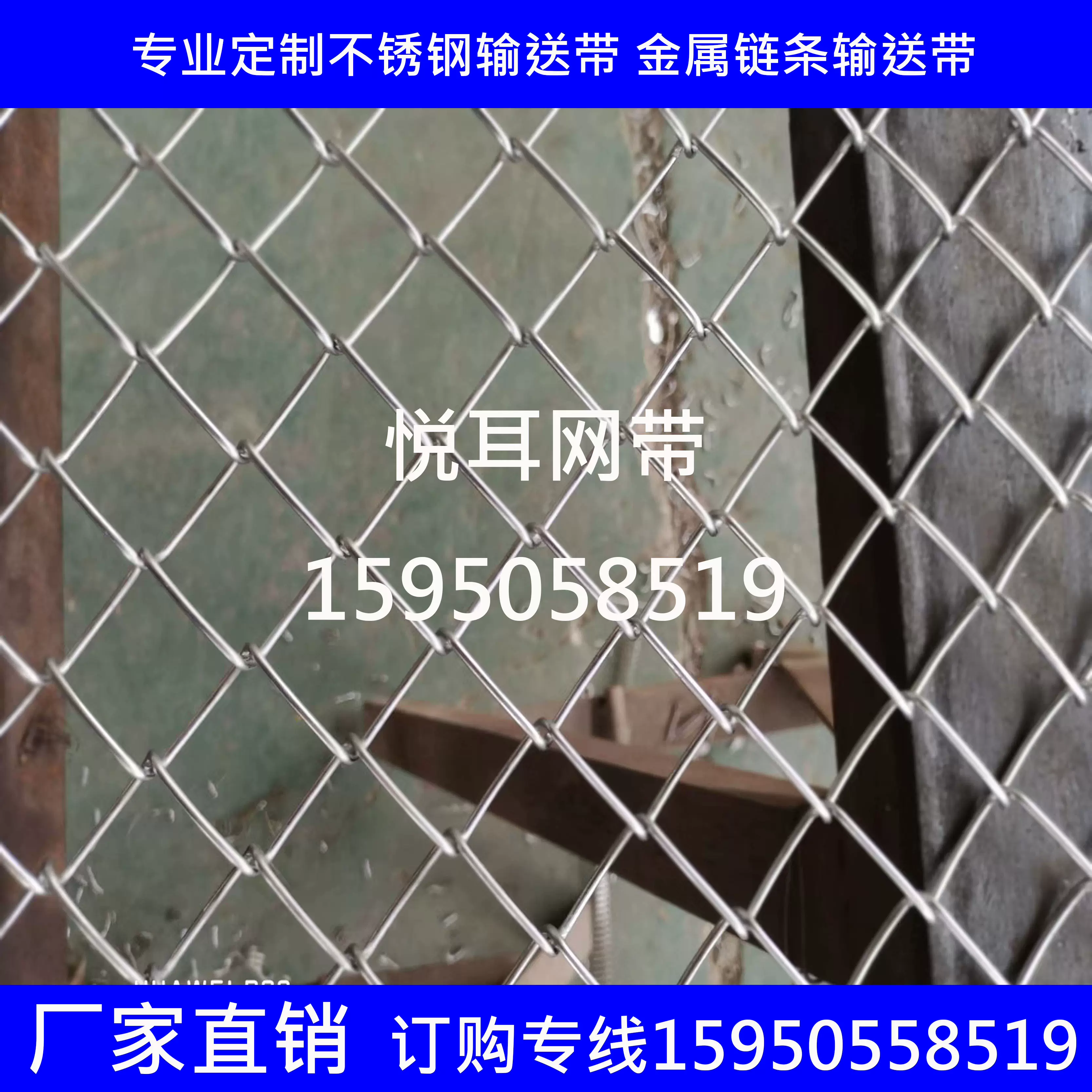菱形网 不锈钢输送网带 网布 网片 方眼网 粗丝网带 菱形网 不锈钢输送网带 网布 网片 方眼网 粗丝网带