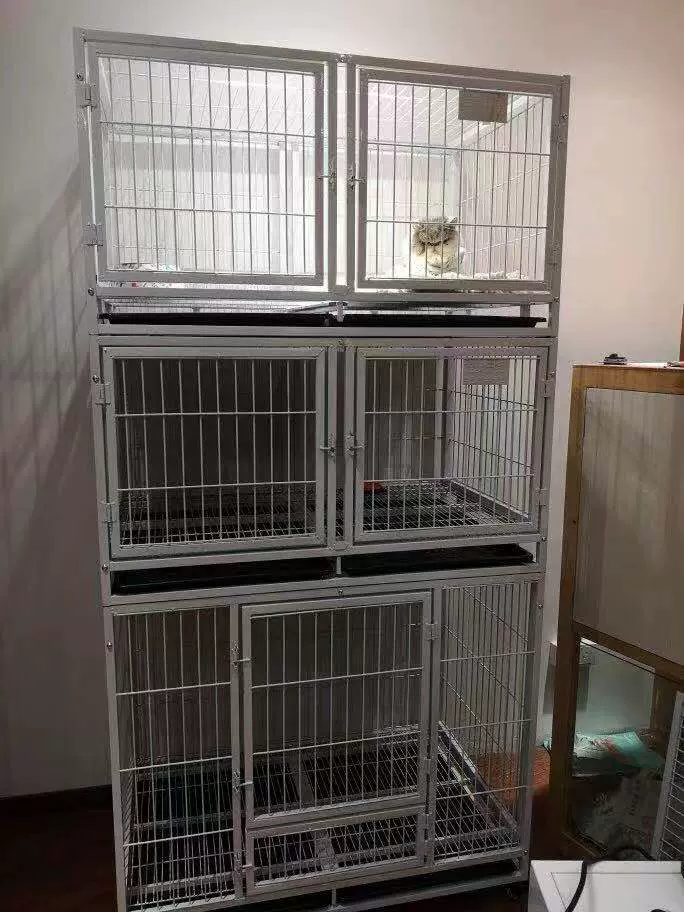 金奧狗狗籠子大型犬中型犬小型犬寄養繁殖籠具寵物