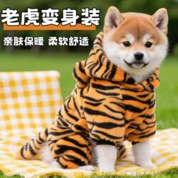 Dog Clothes for Autumn and Winter, Warm Tiger Transformation Costume for Shiba Inu, Bichon, Teddy, Small and Medium-Sized Puppies, Pet Four-Legged Outfit