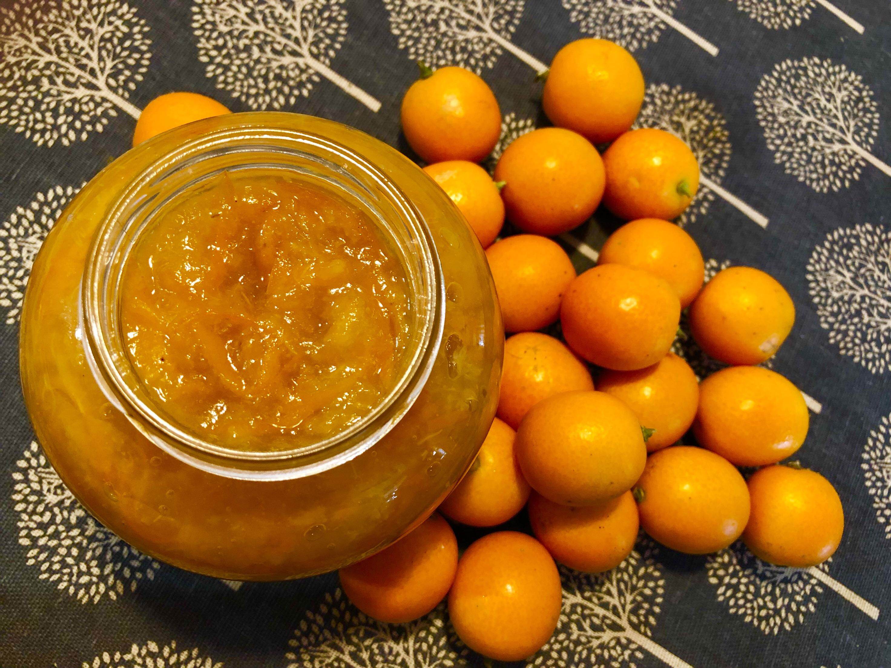 过年讨吉利,这盆金桔不能少!