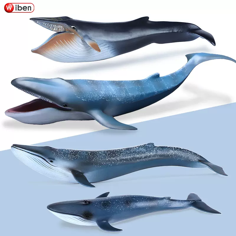 仿真大號藍鯨模型玩具海洋動物模型塑膠實心男生兒童鯨魚認知禮物-Taobao