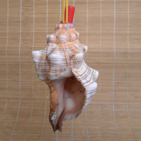 Porno muharriri Aktrisa Lela Star ishtirokidagi porno videolarni tomosha qiling