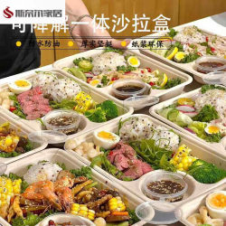 Salad Bowl, Salad Bowl Lunch Box, Disposable Salad Bowl, Takeaway Box, Light Meal Lunch Box, All-In-One Salad Box, Food