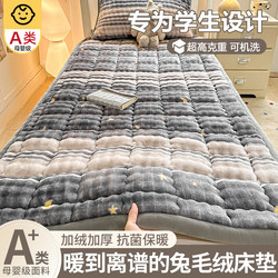 Student Dormitory Milk Velvet Mattress Pad Soft Cushion Winter Fleece-Lined Bed Sheet Thickened Single Bed Pad Quilt Blanket Mattress