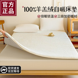 Winter Warm Lamb Wool Mattress Pad for Home Bedroom, Milk Velvet Mattress Topper, Rental-Specific Floor Mat