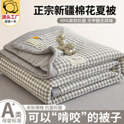 Xinjiang Pure Cotton New Summer Quilt Air-Conditioning Quilt Summer Double Thin Quilt Dormitory Single Student Machine Washable