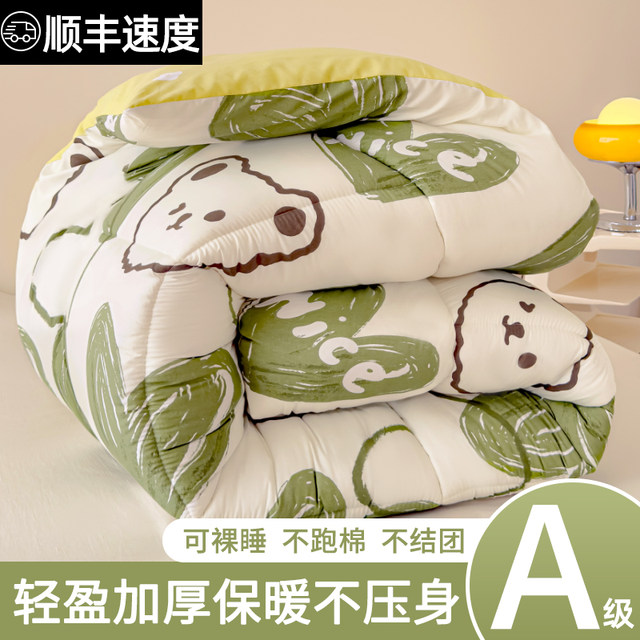 Quilt, winter quilt, thickened and warm, universal quilt, spring and autumn quilt core, summer cool quilt, single student dormitory quilt, autumn