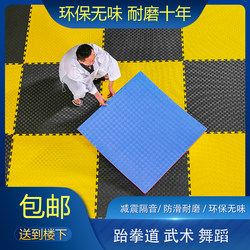 Professional Taekwondo Mat, Thickened for Training, High-Density Dance, Fighting, Street Dance, Gym, Martial Arts 1m Foam Mat