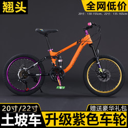 20inch Soft-Tail Mountain Bike with Dual Shock Absorption, Off-Road Disc Brakes, Variable Speed, Suitable for Teenagers, Students, and Children, with a Tilting Handlebar