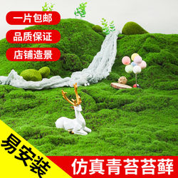 Green plant bonsai simulated moss plant wall turf decoration