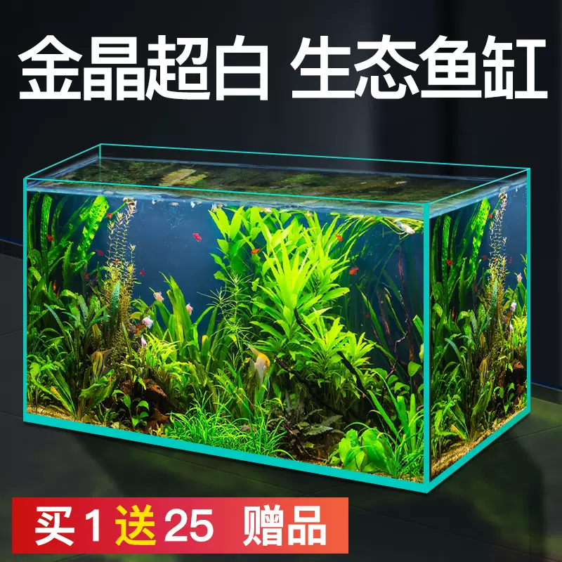鱼缸金晶超白小型裸缸水族箱办公室客厅桌面长方形玻璃造景