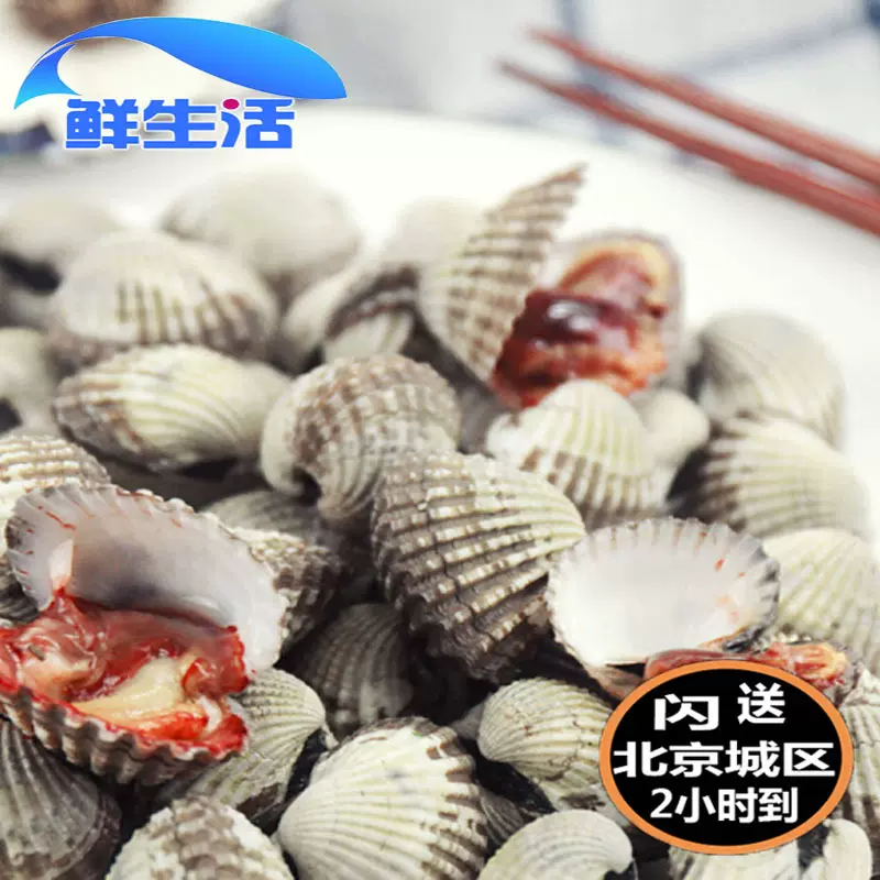 新鮮血蛤500g 花蛤血蚶赤貝泥蚶貝類毛蚶水產海鮮鮮