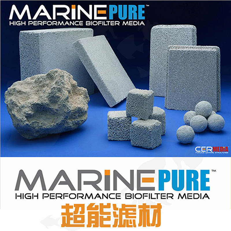 ̱  MARINEPURE     MP     ׸ Ͽ콺-