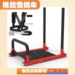 Sled Resistance Device Push-Pull Explosive Power Track and Field Weight-Bearing Running Resistance Personal Training Gym Equipment