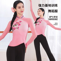 Jiaozhou Dance Performance Costume for Women, Art Exam Practice Performance Outfit, Northeastern Yangko Dance Grading Practice Classical Dance Body Rhyme Gauze Dress