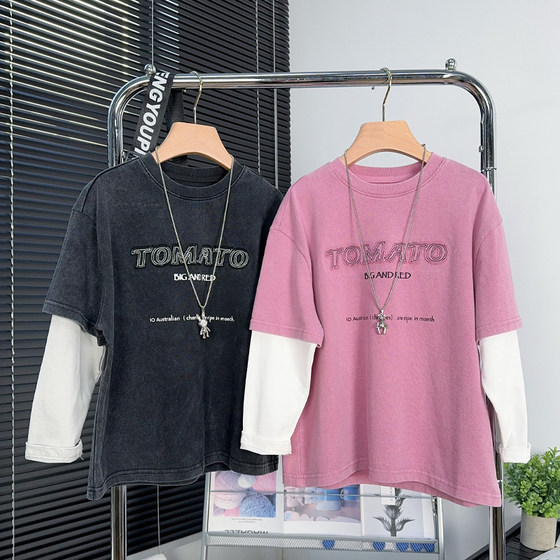 
Big E small e children's clothing boy fake two-piece long-sleeved T-shirt Spring and Autumn style medium-sized children's fashion sweatshirt children's top 25007