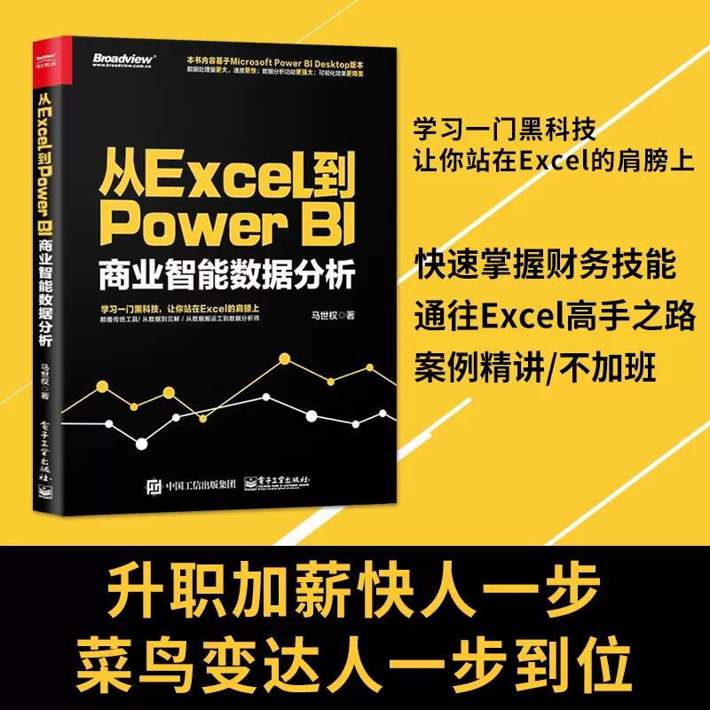 正版现货从excel到power Bi 商业智能数据分析powerbi入门书籍power Bi 操作教程power Query 数据查询工具excel数据分析