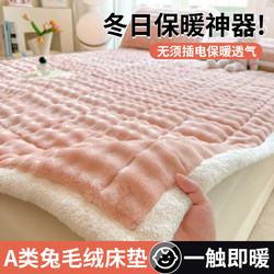 Winter Rabbit Plush Blanket Mattress Home Soft Cushion Thickeneded Warm Milk Velvet Mattress Mattress Dormitory Student Single