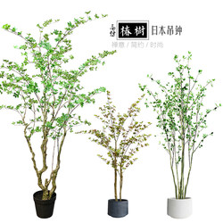 Artificial Japanese Bellflower Tree with Multi-Petal Leaves, Floor-Standing Green Plant, Zen-Style Chinese Living Room and Bedroom Decoration 