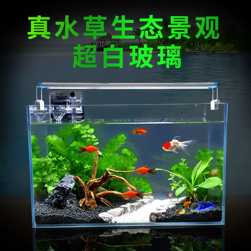 真水草超白玻璃鱼缸水族箱小型客厅桌面生态造景装饰金