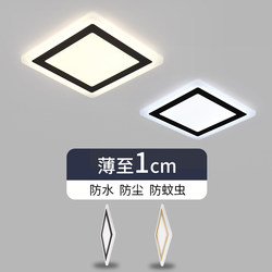 New Ultra-Thin Led Aisle Light, Corridor Light, Modern Minimalist Entrance Balcony Light, Foyer Ceiling Light, Mosquito-Proof