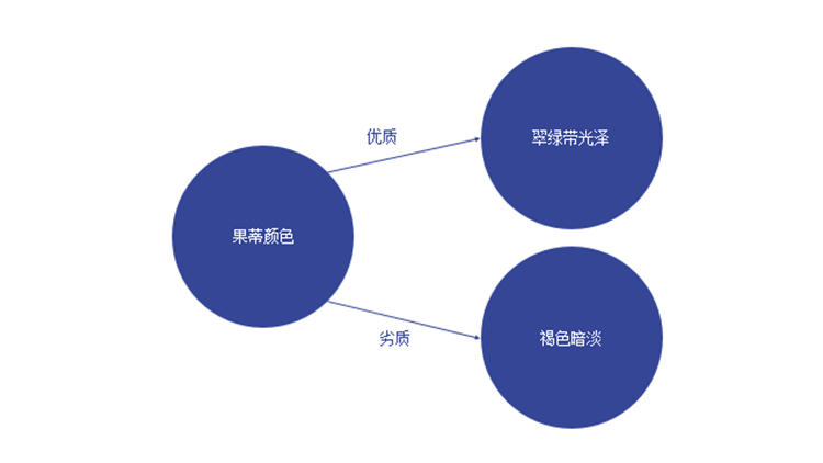 优质山竹怎么挑，这六个方法你得知道(图5)