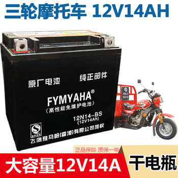 Yamaha Flying Eagle 12V14A dry battery
