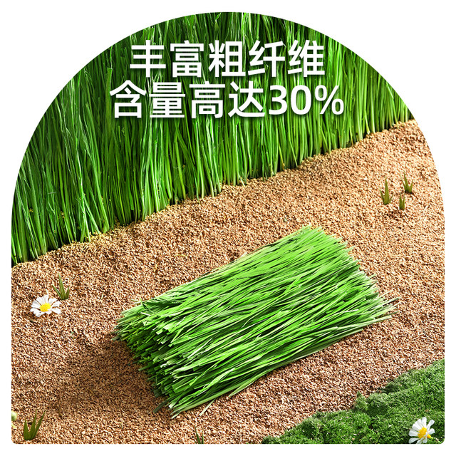 Picture Idea: Yee Timothy Grass Segment Young Rabbit Food Rabbit Hay Drying