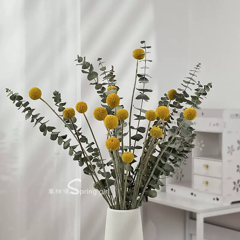 黃金球尤加利葉乾燥花花束diy材料客廳臥室裝飾擺設北